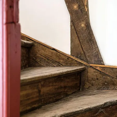 Weberwinkel فيلة *